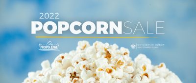 Popcorn Sales Graphic 1