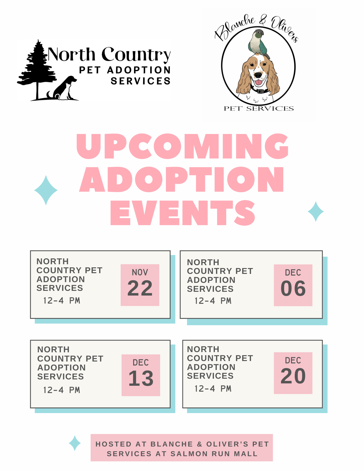 Adoption Flyer BandO